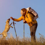 The Concord Guide To Hiking With Your Dog